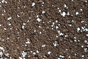 Peat Moss with Perlite