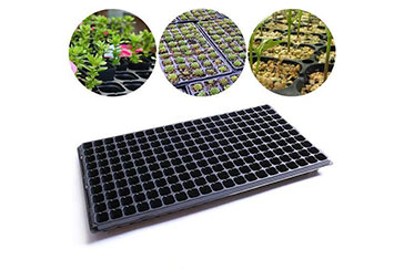 Seedling Tray-200 Holes