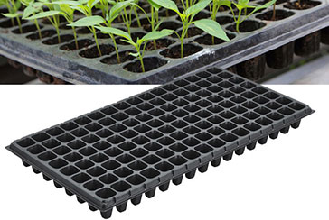Seedling Tray-128 Holes